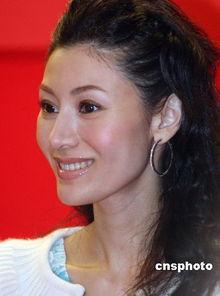 娱乐圈吃瓜爆料李嘉欣,娱乐圈风云再起，豪门生活揭秘  第2张