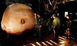 撕裂人 在线观看,惊悚悬疑，揭秘人性深渊  第1张