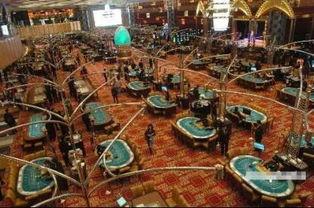 澳门最新爆料电话,揭秘幕后真相  第1张